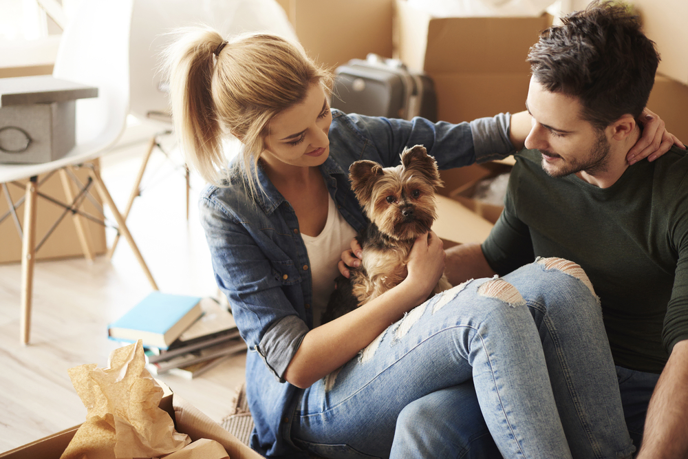 A couple having a break from moving house with a dog